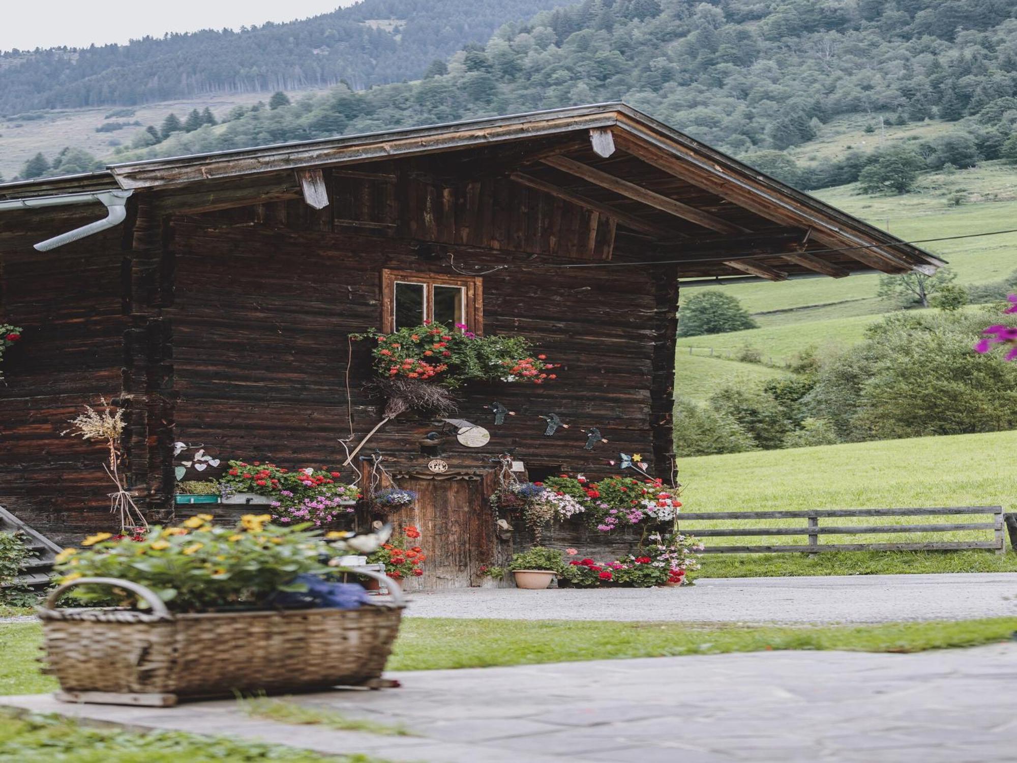 Holiday Home Fusch An Der Glocknerstra E Fusch an der Grossglocknerstrasse 외부 사진